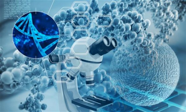 聚财略 三维细胞规模化智造整体平台解决方案提供商华龛生物完成数亿元B+轮融资